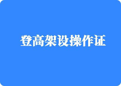 操的好爽高潮啊我啊啊啊啊好爽视频无码登高架设操作证